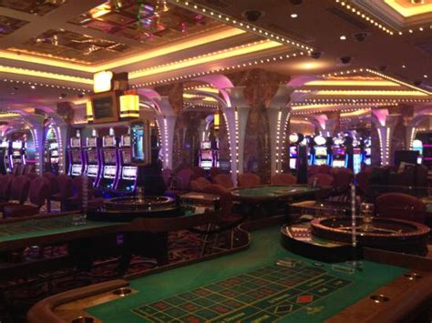 Star bet casino Panama